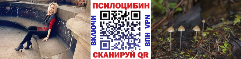 Купить закладки  Десногорск  Галлюциногенные грибы прущие грибы 
